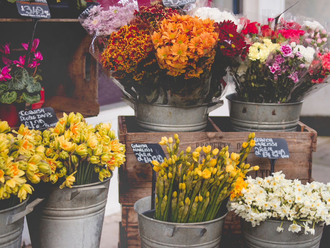 Large DIY Bucket of Local Blooms - Sold out until June for seasonal :)