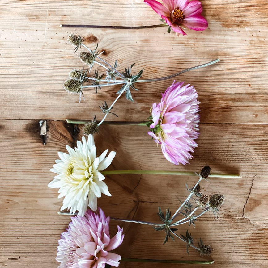 Spring Flower CSA (local pick-up)