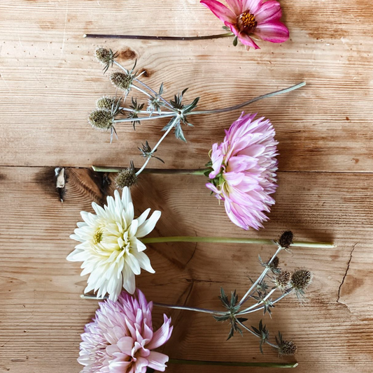 Spring Flower CSA (delivery)